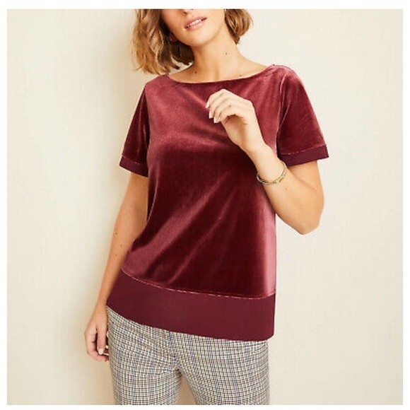 NWT Ann Taylor Burgundy Velvet Short Sleeve Top Size XS - Picture 1 of 7